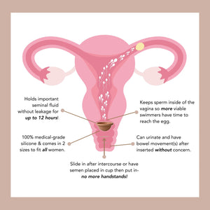 Vegan, fertility, supplements, aid, health, Chasteberry, sperm, menstrual cycle, hormonal, balance, egg, All-natural, female, Male, booster, ovulation, vitamins, freezing, IVF, IUI, women, over 35, motility, Herbal, Maca root, Omega-3, Black tea extract, Folate, Vitamin D, Iron, Ashwagandha, L-arginine, Antioxidant, Selenium, Vitamin E, Zinc, conception, Hormone-free, men, PCOS, endometriosis, getting pregnant, support, over 30, Sperm-friendly, lubricant, gel, Non-toxic, Organic, Non-hormonal, Water-based